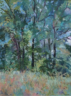The Forest for the Trees (36x48, Oil/Canvas, Dahlonega Hwy 115, NE GA)